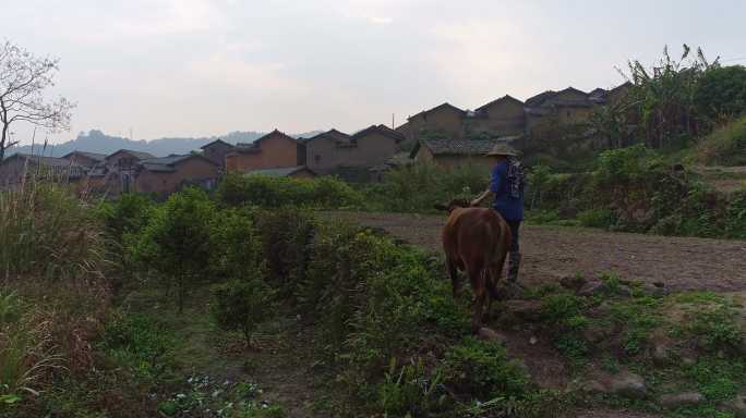 航拍广西乡村风光上林鼓鸣寨清晨