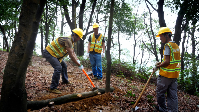 郊野径绿道建设 铺石修路 山路修建