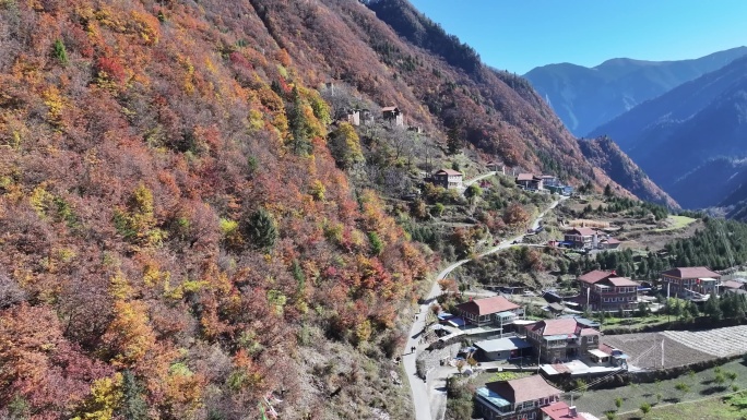 三奥雪山