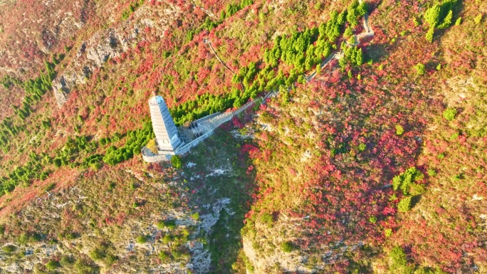 三峡红叶