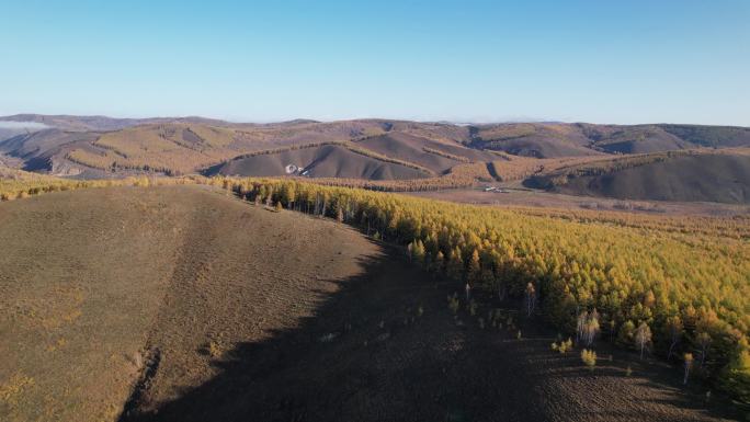 航拍内蒙古阿尔山市秋季的森林草原风光