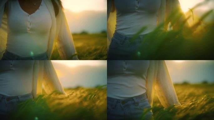 夕阳下，美丽的年轻女子走在麦田里的绿色作物中