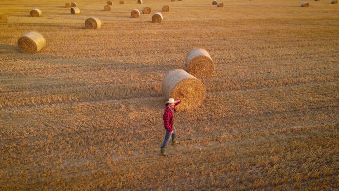 鸟瞰麦田里的工人。穿着胶靴的农学家沿着一排排圆形的稻草捆走着