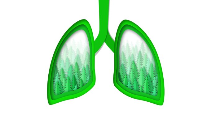 纸肺与森林动画背景-(循环4k + Alpha通道)-环境概念