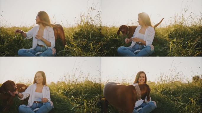 快乐的年轻女子在草地上与棕色的维兹拉狗玩耍