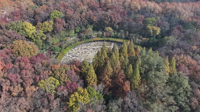 钟山风景区音乐台秋景航拍