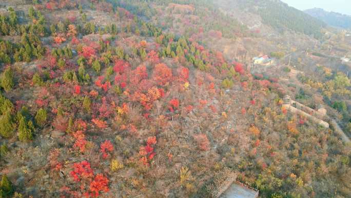 山东枣庄峄城仙人洞景区冬季美景航拍片段4