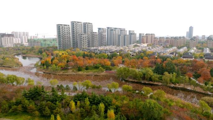 4K-五彩缤纷的城市美景