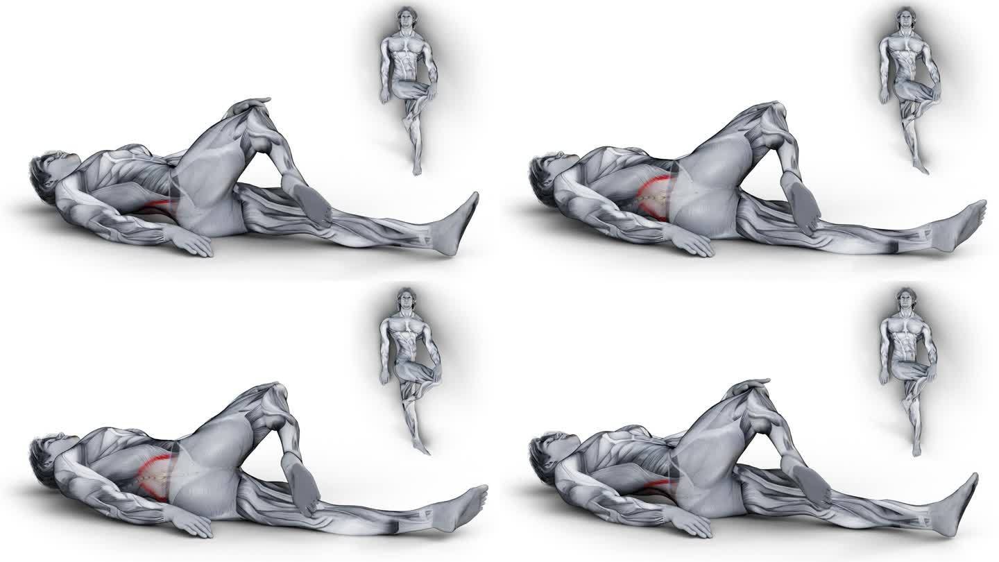 肌肉角色从两个不同的角度进行健身运动的3d插图