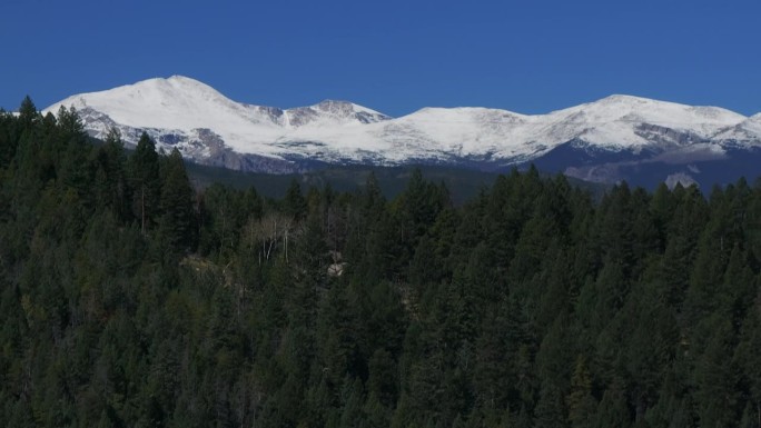 电影航拍无人机视差揭示丹佛山的第一场雪蓝天埃文斯峰初秋秋天美丽的蓝鸟晴朗的早晨日出天科罗拉多落基山脉