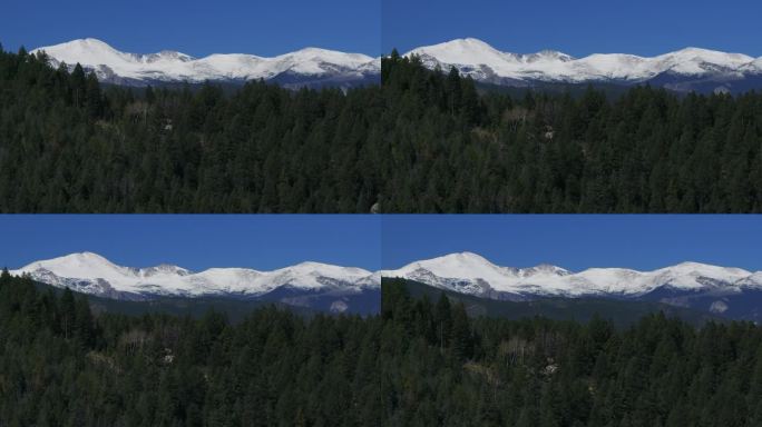 电影航拍无人机视差揭示丹佛山的第一场雪蓝天埃文斯峰初秋秋天美丽的蓝鸟晴朗的早晨日出天科罗拉多落基山脉
