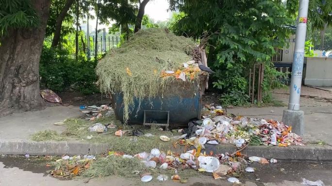 一只乌鸦在印度加尔各答路边一个满是垃圾的垃圾箱里寻找食物。垃圾桶。