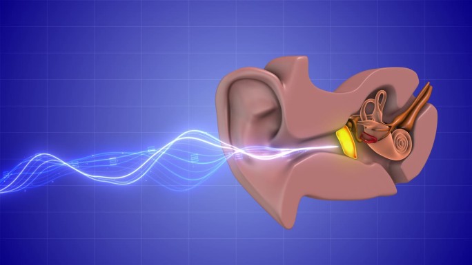 人的耳朵会受到声波的影响。