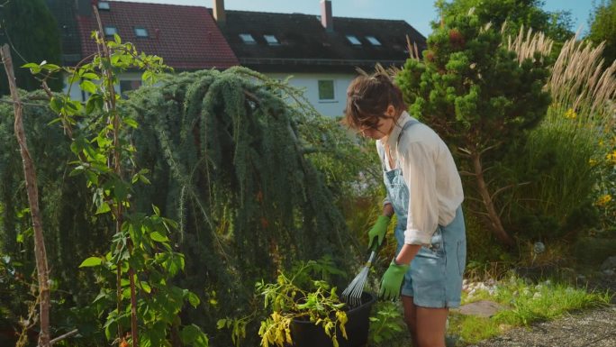 一名妇女在后院打理植物