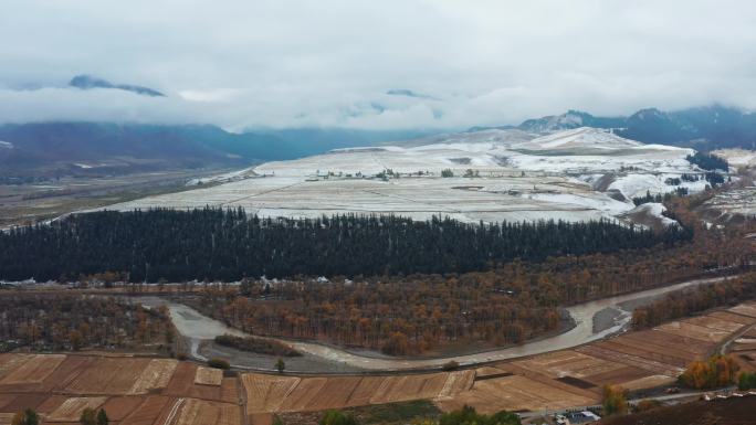 青海 祁连县 秋季雪景