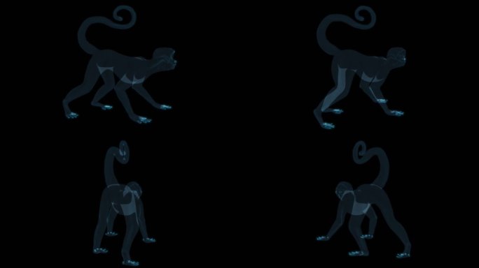 猴子 金丝猴热带雨林猿猴猿人狒狒猩猩猿人