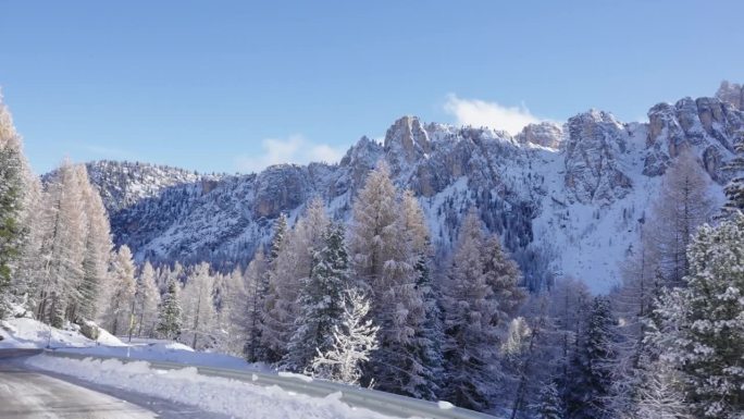 白云石地区落叶松雪林与景观中汽车行驶的视角