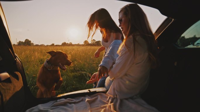 年轻的女性朋友们坐在汽车后备箱里的棕色Vizsla车里享受日落