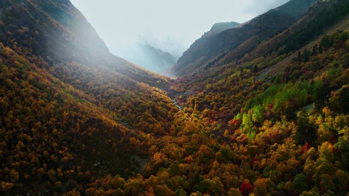 美丽的山谷之间的山在阳光明媚的秋日，惊人的鸟瞰图，早晨的寂静