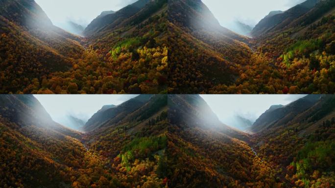 美丽的山谷之间的山在阳光明媚的秋日，惊人的鸟瞰图，早晨的寂静