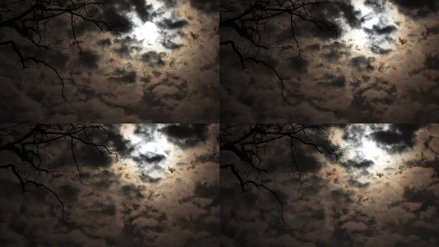 4k黑天月亮树影云遮月月夜黑夜树影月亮