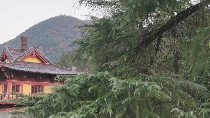 浙江婺城区金华山智者寺