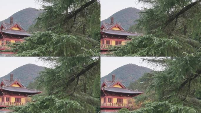 浙江婺城区金华山智者寺