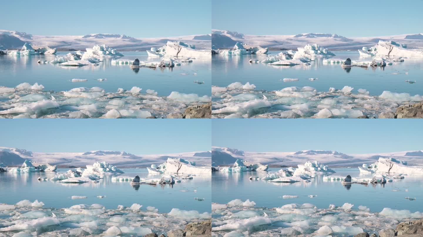 冰岛，冰海泻湖的北极景观，有冰山和浮冰。
