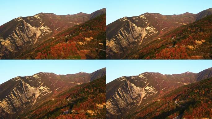 三峡红叶