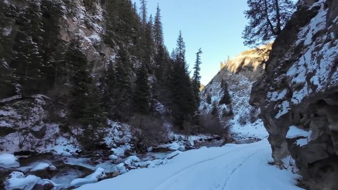 在雪地上的车辙上行进，穿过狭窄的峡谷，在布满云杉林的冬季岩石中穿行