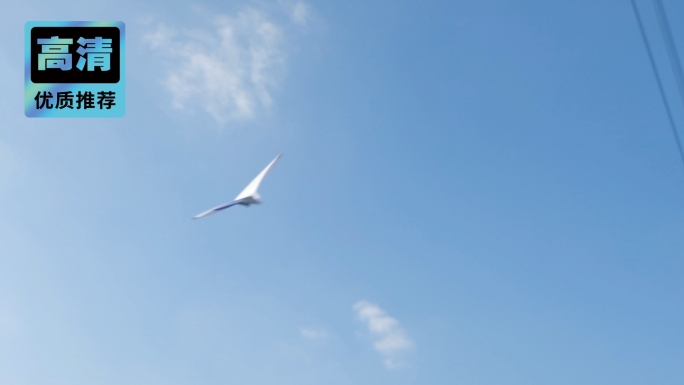 童年扔纸飞机剪影放飞梦想希望的翅膀远航