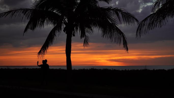 海边夕阳晚霞椰子树