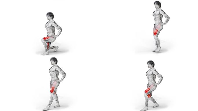 肌肉特征的插图与空间阴影做腿部肌肉锻炼