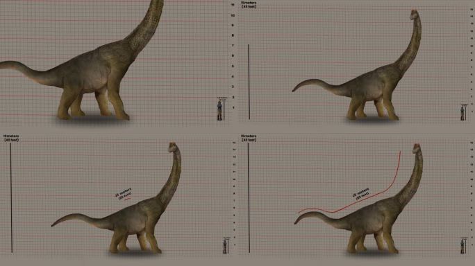 人类与腕龙的高度和长度对比——晚侏罗世的蜥脚类恐龙。-动画，缩小