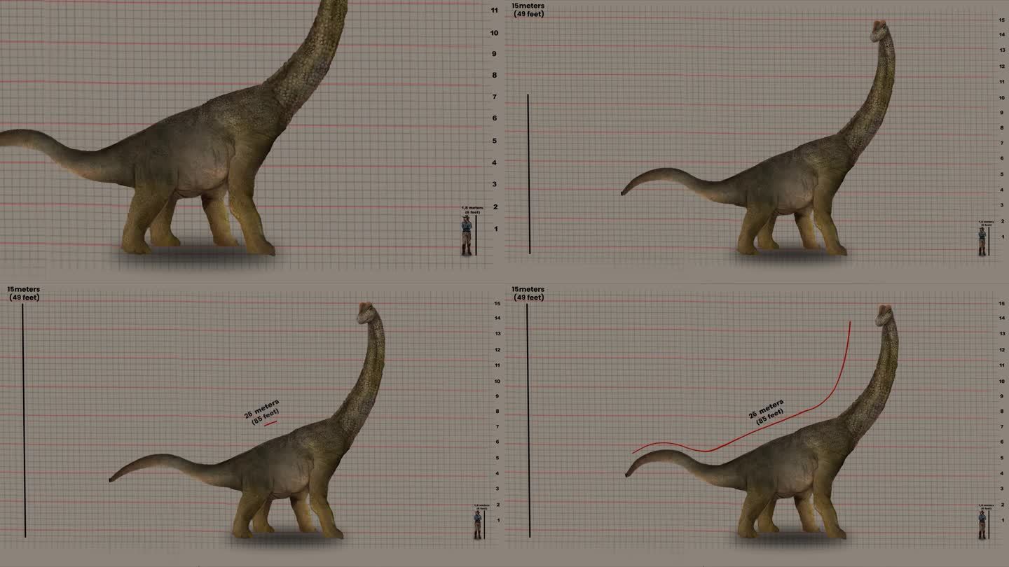 人类与腕龙的高度和长度对比——晚侏罗世的蜥脚类恐龙。-动画，缩小