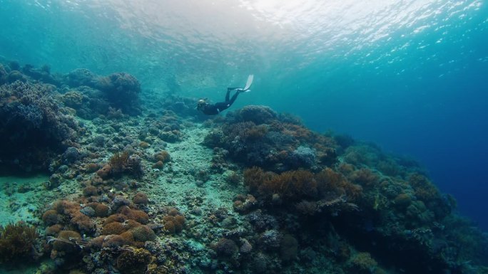 一名身穿黑色潜水服的女子屏住呼吸潜水，探索印度尼西亚鲜艳的珊瑚礁