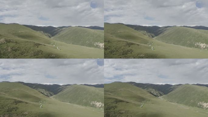 航拍风景西藏山草原辽阔自然房屋风光