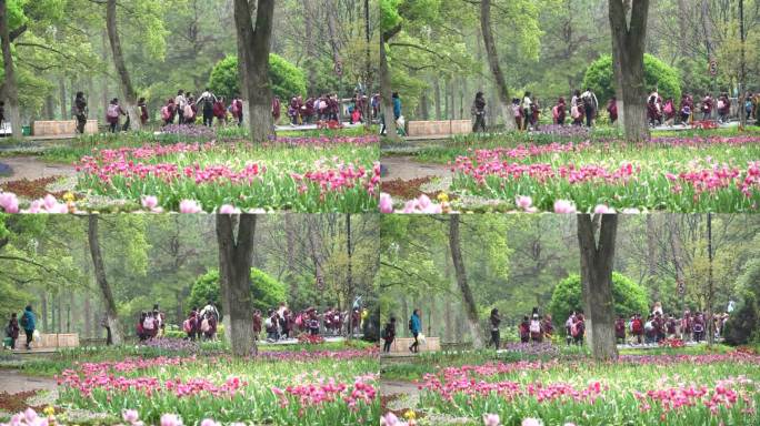 4K春天学生公园郊游班级活动升格实拍