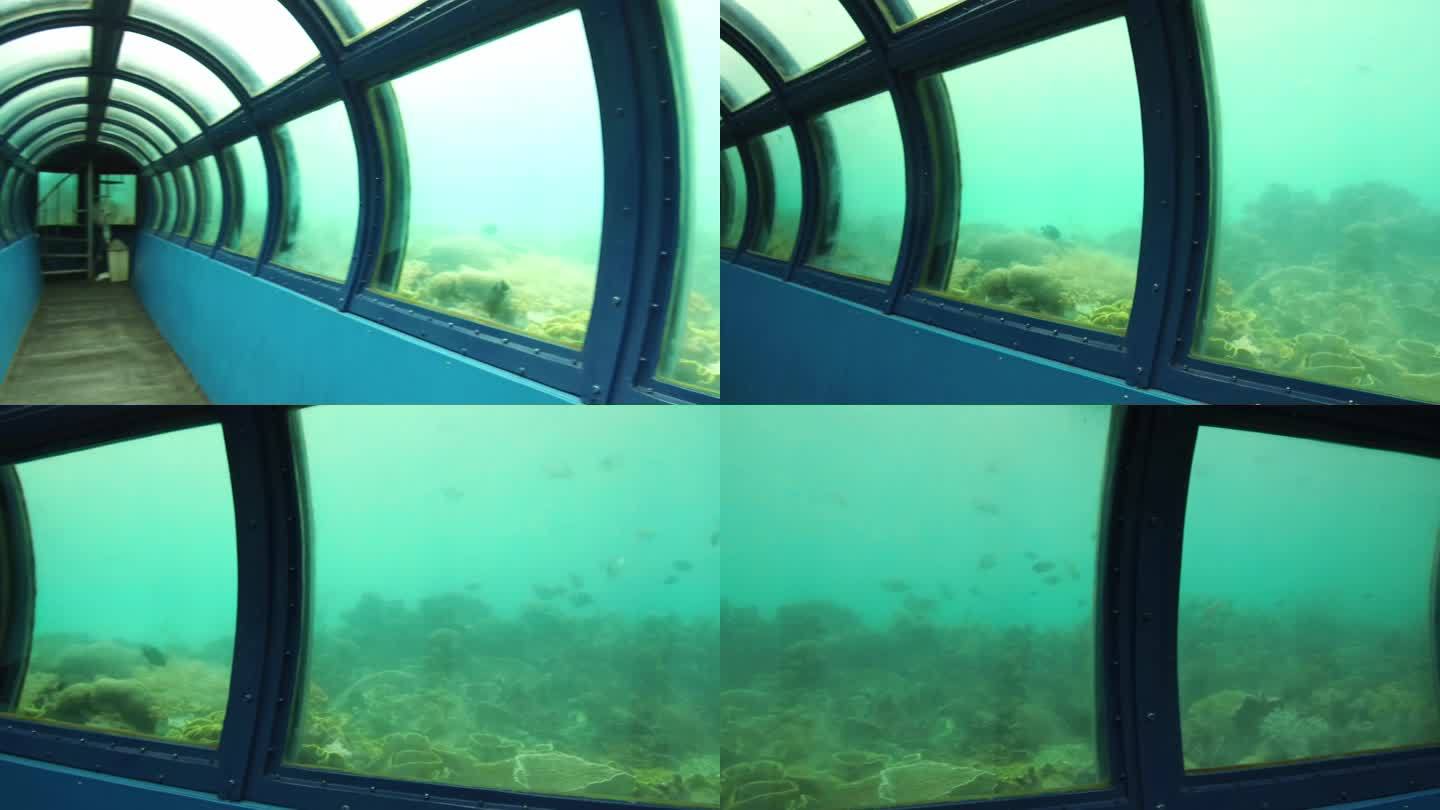 印尼大海海岛鱼群地拍