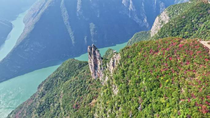 三峡红叶