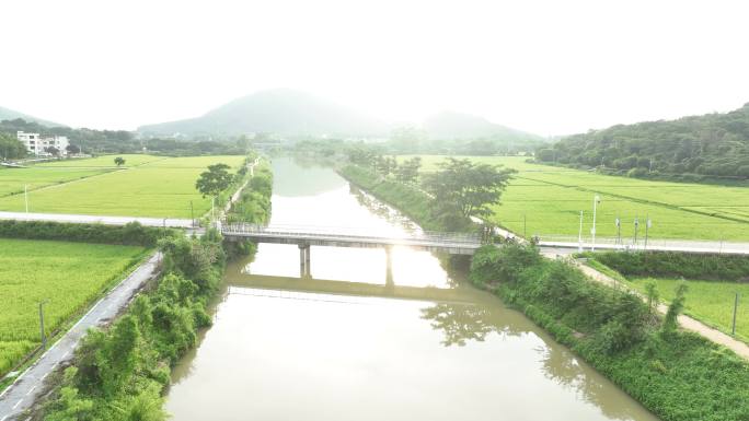 中国广东省广州市从化艾米稻香小镇