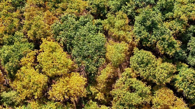 航拍神居山山水树林林谭秋色河湖绿色