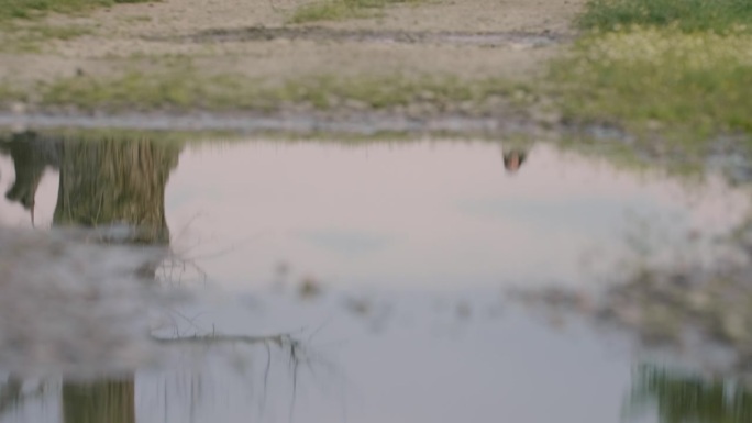 耶稣慢慢地走在泥泞的路上——池塘的倒影