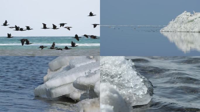 青海湖开湖