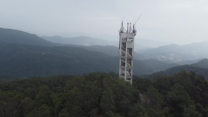 大山 茶田 水渠