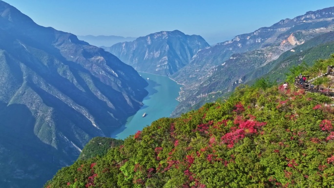 三峡红叶