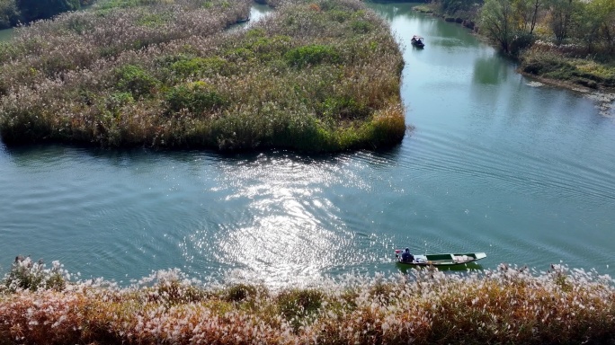 摇橹船在波光粼粼的杭州西溪湿地前行