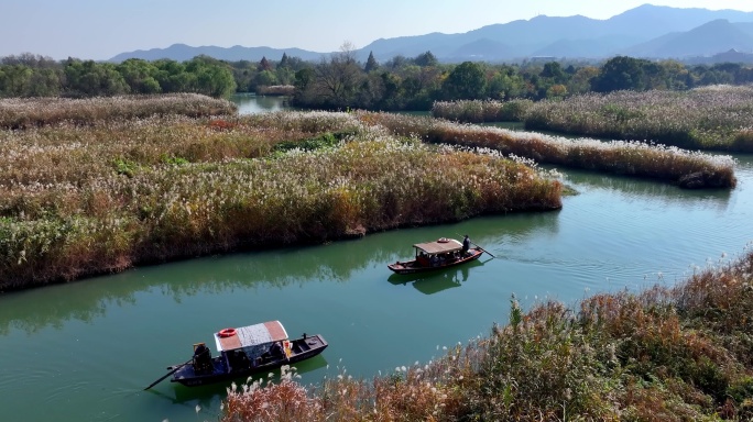 杭州西溪湿地秋意浓航拍