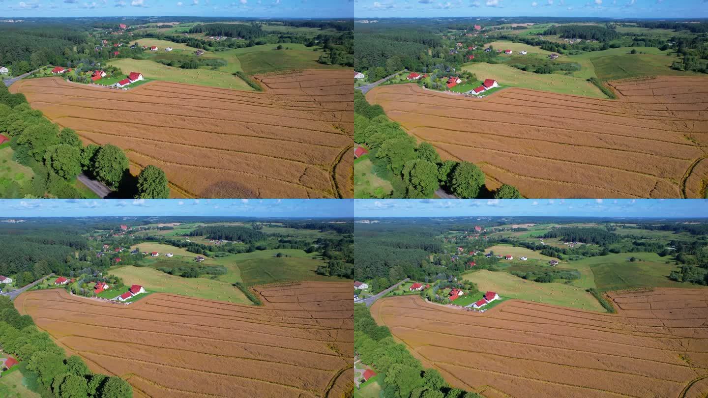 鸟瞰乡村景观。波兰农场，乡村风光农田夏季森林。欧洲家庭农场进入绿色土地。鸟瞰乡村景观欧洲。波兰农场，