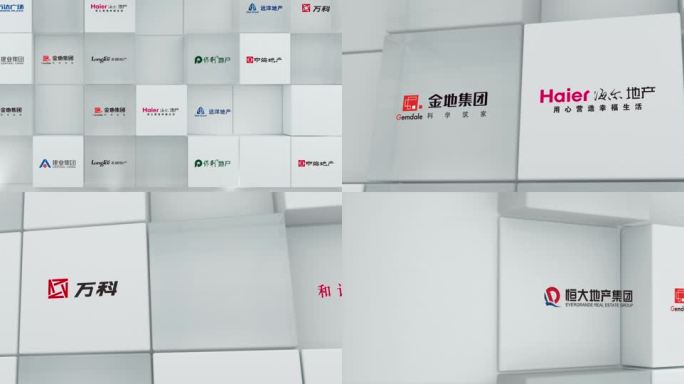 宽屏logo合作企业背景墙